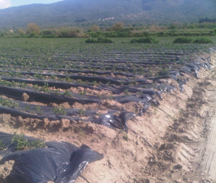 Çeşitli Proje Görüntülerimiz