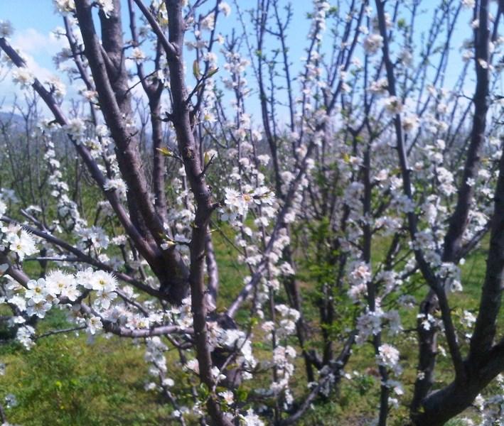 Çeşitli Proje Görüntülerimiz