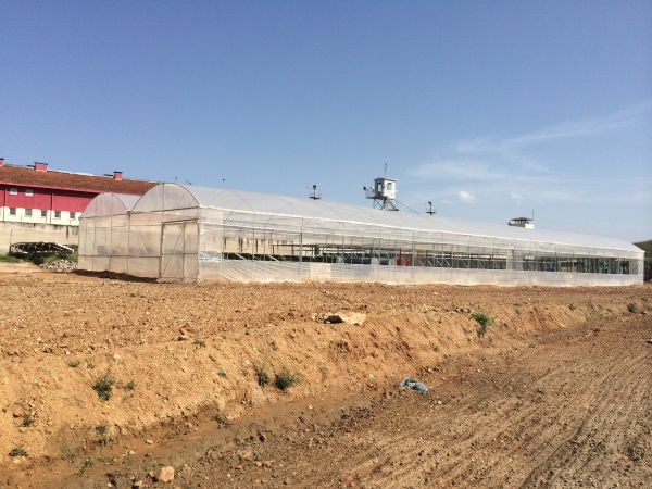 AYDIN YARI AÇIK CEZAEVİ PLASTİK SERA