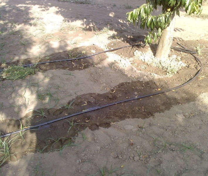 12.06.2008 Denizli Otomatik Filtre Projemiz