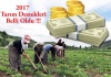 2017 tarım destekleri belli oldu